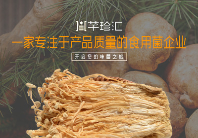 金針菇干貨 無硫綠色農(nóng)產(chǎn)品在酒店、工廠及畜牧漁業(yè)的多領(lǐng)域應(yīng)用